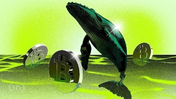 
 &laquo;Акулы&raquo; подбросили биткоин (BTC) выше $115&nbsp;000. Сможет ли он там задержаться		