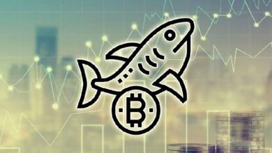 Акулы рынка приобрели более 65 тыс. BTC за последнюю неделю Акулы рынка приобрели более 65 тыс. BTC за последнюю неделю