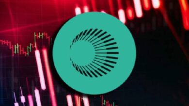 Аналитики BloFin Academy: Plasma пытается стать инструментом доступа к инвестициям в Tether