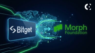 Bitget перечисляет 440 миллионов BGB в Morph Foundation для развития сети
