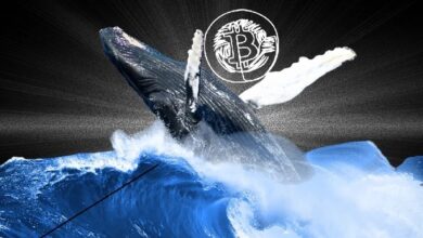 Долгосрочные запасы биткоин-китов достигли рекордных 14,3 млн BTC