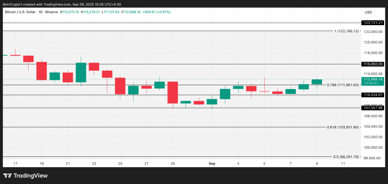 
 Эти два сигнала указывают на то, что быки биткоина (BTC) не сдаются		