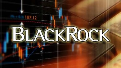 Компания BlackRock сообщила об исследовании возможностей токенизации ETF