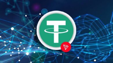 Крупные инвесторы увеличили свою долю переводов USDT в сети TRON Крупные инвесторы увеличили свою долю переводов USDT в сети TRON