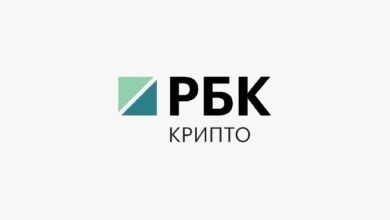 Кусты, чердаки и подсобки. Где в России находят нелегальные майнинг-фермы