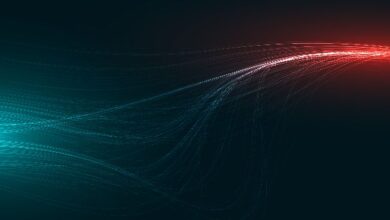 PayPal добавит PYUSD в сеть Stable