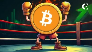 Прогноз цены биткоина на 30 дней: новый максимум или дальнейшая коррекция?
