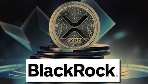 Стейблкоин Ripple дебютирует на платформе токенизации, поддерживаемой BlackRock