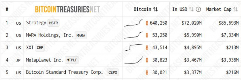 
 Bitwise: в третьем квартале появилось 48 новых биткоин-казначейств		