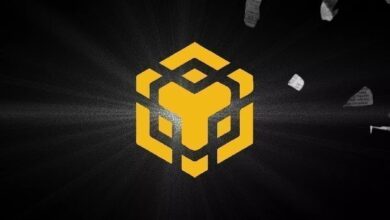 BNB Chain обновил рекорд по числу активных адресов BNB Chain обновил рекорд по числу активных адресов