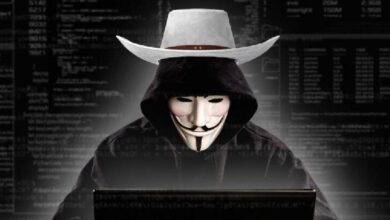 Этические хакеры с программой Safe Harbor от SEAL экономят криптомиллиарды