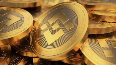 Генеральный директор CEA назвал BNB самой недооцененной «голубой фишкой»