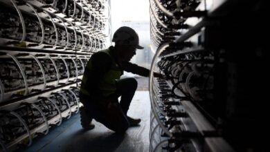 HIVE увеличила целевой хешрейт до 35 H/s за счет расширения в Парагвае