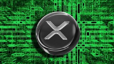 Исследователь ZachXBT: взлом криптокошелька Ellipal привел к краже млн в XRP Исследователь ZachXBT: взлом криптокошелька Ellipal привел к краже млн в XRP