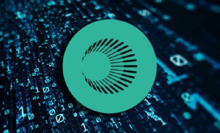 Лидеры роста активных пользователей: Plasma и Base опережают рынок