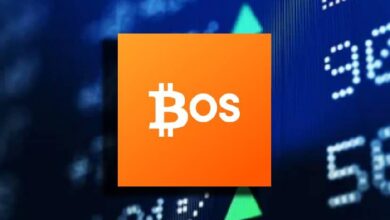 Стартап BitcoinOS получил от инвесторов млн для расширения институциональных BTCFi-решений Стартап BitcoinOS получил от инвесторов млн для расширения институциональных BTCFi-решений