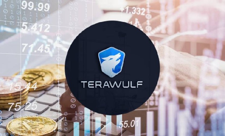 
 TeraWulf разместит конвертируемые облигации на $500 млн для строительства дата-центра в Техасе		