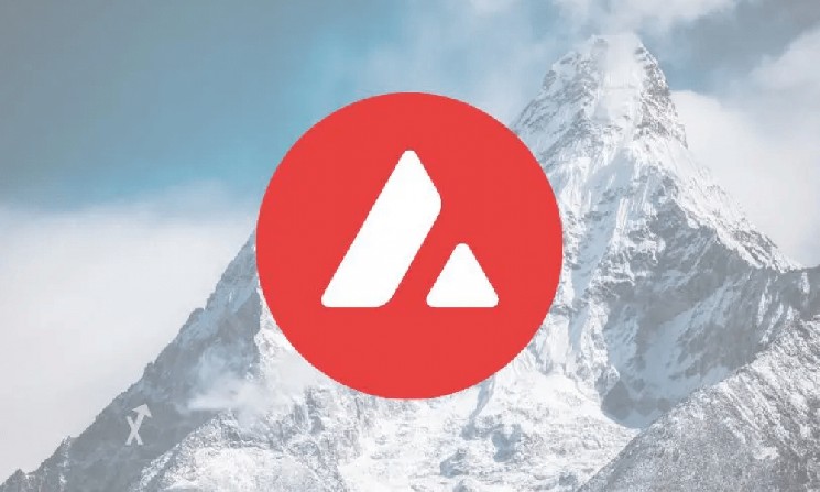 
 Avalanche стал третьим по величине блокчейном по объему токенизированных казначейских облигаций США		