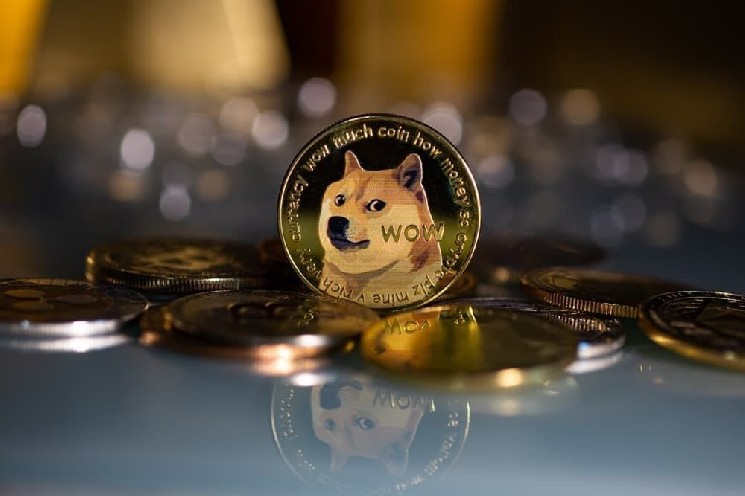 
 Bitwise готовится к запуску спотового ETF Dogecoin, раскрывает тикер и комиссии		