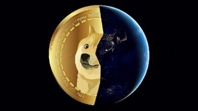 Для держателей SHIB в Shiba Inu вышло внезапное обновление системы безопасности