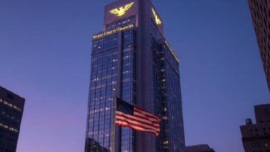 Проект World Liberty Financial вызвал опасения у инвесторов