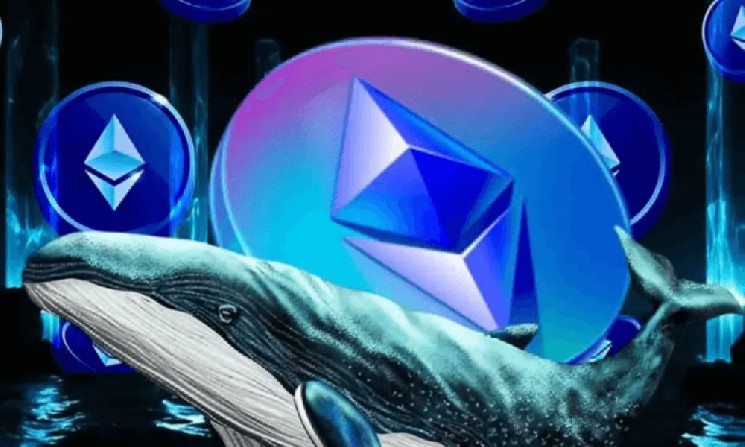 
 Ранние киты Ethereum уже активизировались		