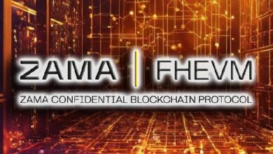 Руководители Zama приобрели стартап Kakarot для развития конфиденциальных блокчейнов