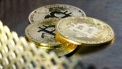 В МВД сообщили о новой мошеннической схеме с криптоинвестициями В МВД сообщили о новой мошеннической схеме с криптоинвестициями