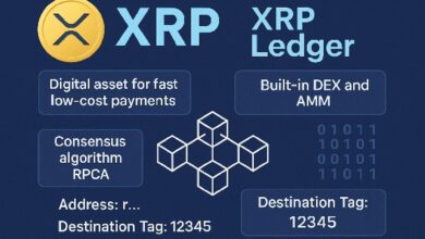 XRP и XRP Ledger: как работает экосистема и чем она отличается от других блокчейнов