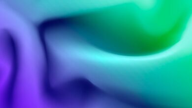 Avail запускает кроссчейн-сеть Nexus
