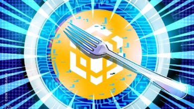 BNB Chain запланировала запуск хардфорка Fermi на январь