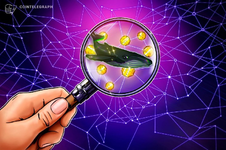 
 Глава CryptoQuant увидел по китам признаки разворота биткоина		