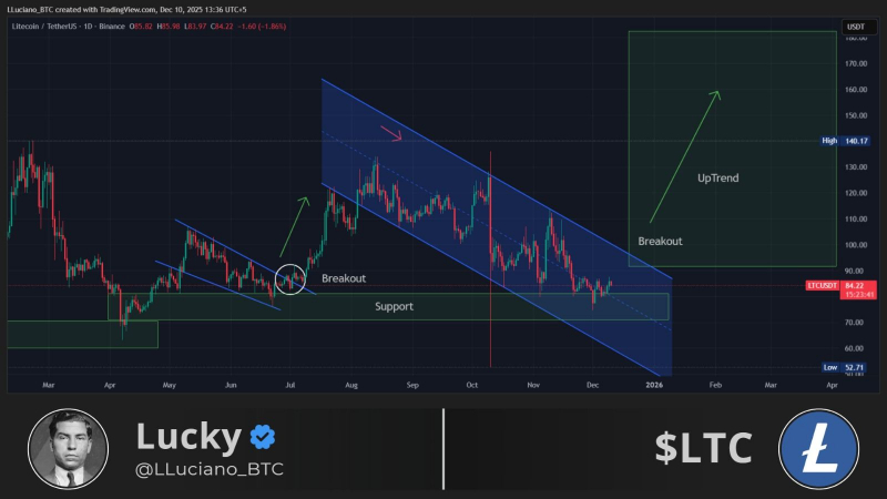 
 Институциональное накопление: фонды аккумулировали 3,7 млн LTC		