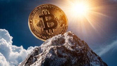 Криптосообщество призывает SEC обратить внимание на преимущества инструментов конфиденциальности в блокчейне
