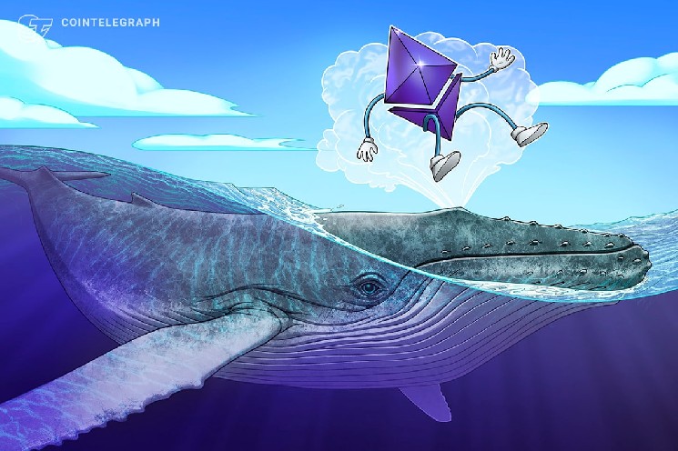 
 Мнение: &laquo;умные&raquo; Ethereum-киты усилили лонги на $426 млн в надежде на рост курса к $4000		