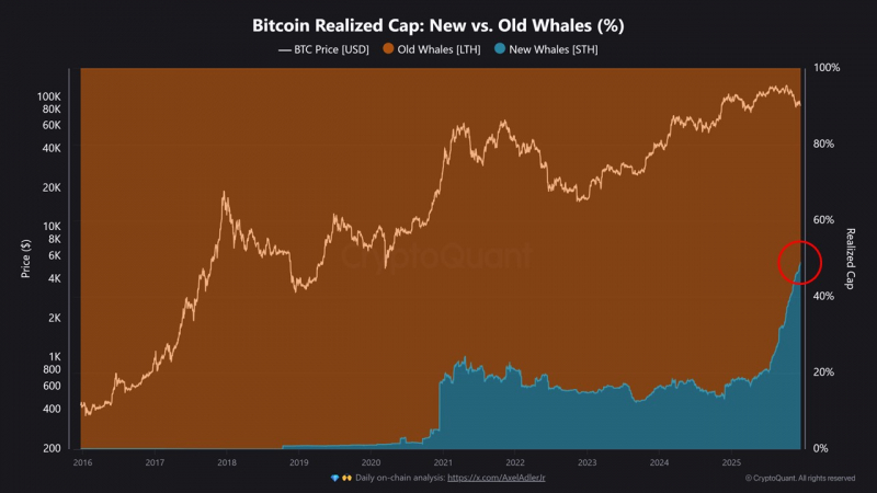 
 Новые биткоин-киты захватили 50% рынка &mdash; CryptoQuant		