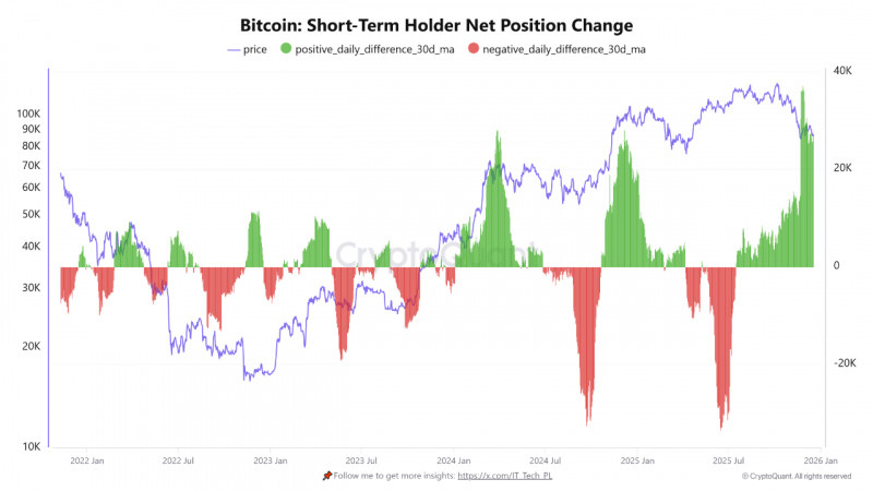 
 Новые биткоин-киты захватили 50% рынка &mdash; CryptoQuant		