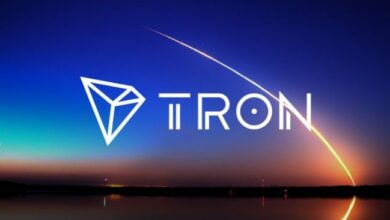 Сеть TRON достигла рекордного роста числа пользователей