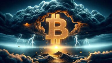 2026 год для биткоина будет сложным, но платежные технологии улучшатся