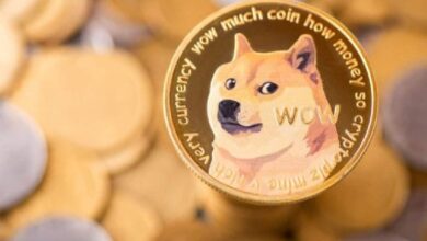 CZ раскрывает свой прогноз по поводу выживания Dogecoin в Давосе