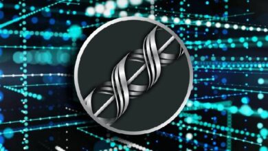 Эксперт Messari опубликовал обновленную оценку приватного протокола RAILGUN Эксперт Messari опубликовал обновленную оценку приватного протокола RAILGUN