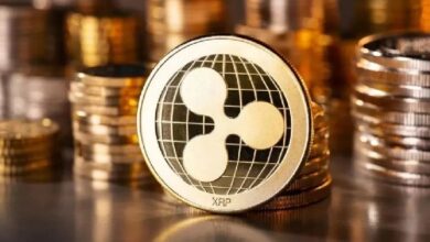 В спотовые ETF на XRP наблюдается рекордный приток средств, но аналитики дают пессимистичный прогноз: «Недостаточно разработчиков»