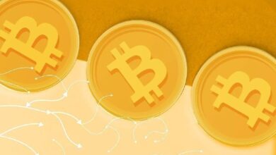 CIO Bitwise: биткоин еще не достиг дна цикла