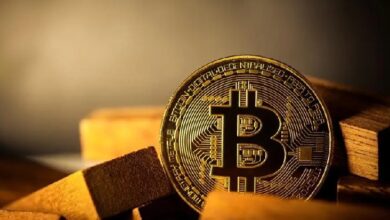 Глава инвесткомпании назвал волатильность биткоина «частью игры»