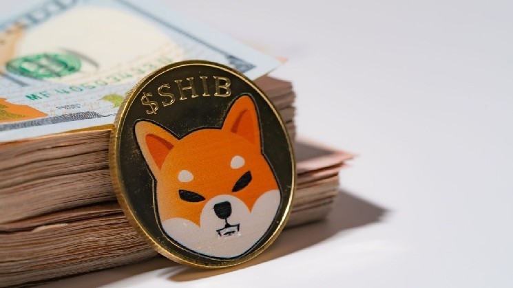 
 Команда Shiba Inu предупредила о новой мошеннической схеме		