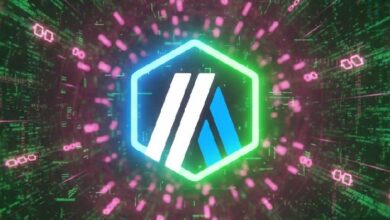 Сооснователь Offchain Labs Стивен Голдфедер объяснил двойную идентичность Arbitrum