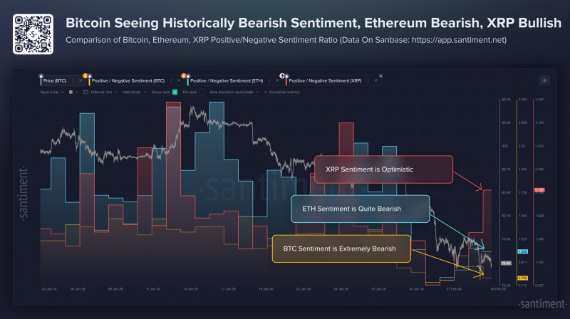 
 Убытки Evernorth в XRP превысили $380 млн		