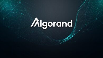 Algorand Foundation сокращает 25% сотрудников: сигнал о давлении на криптоиндустрию Algorand Foundation сокращает 25% сотрудников: сигнал о давлении на криптоиндустрию