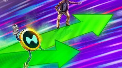 Артур Хэйес спрогнозировал рост токена HYPE до 0 к августу Артур Хэйес спрогнозировал рост токена HYPE до 0 к августу