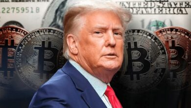 Члены совета директоров американской биткоин-компании, поддерживаемой Трампом, скупают акции после публикации отчета о доходах